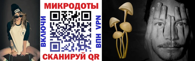 Галлюциногенные грибы Psilocybine cubensis  мориарти как зайти  Дегтярск  хочу наркоту 